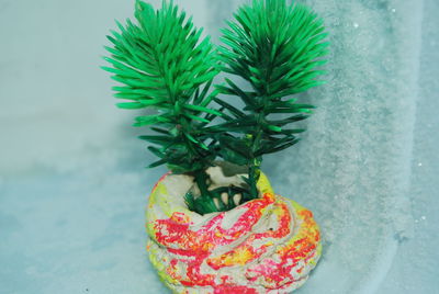 Close-up of multi colored vegetables on table