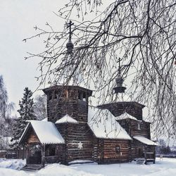 Snow covered tree by building against sky