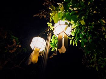 Close-up of illuminated light bulb