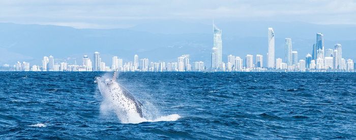 Scenic view of sea against blue sky