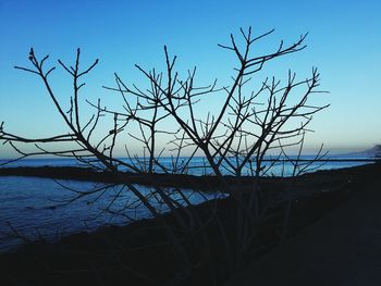 Silhouette bare tree by sea against clear blue sky