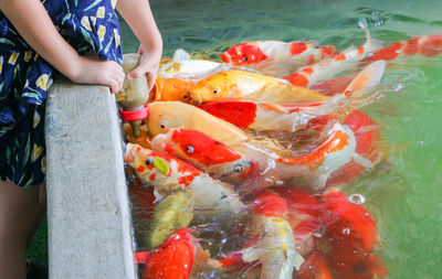 Midsection of person holding fish in sea