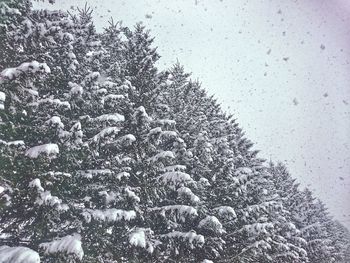 Close-up of snowflakes on glass against sky