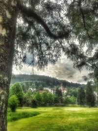 Scenic view of grassy field against sky