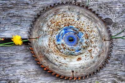 Close-up of multi colored flowers