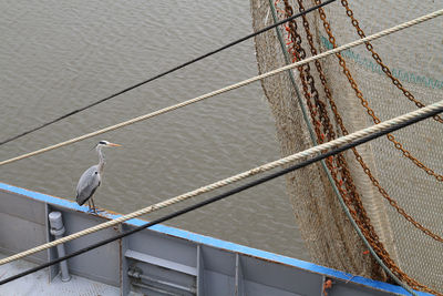 High angle view of great blue heron perching on fishing boat in sea
