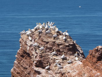 Rock formations on sea shore