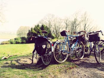 Group of bicycles outdoors