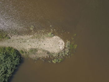 High angle view of plant on lake