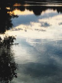 Reflection of trees in water