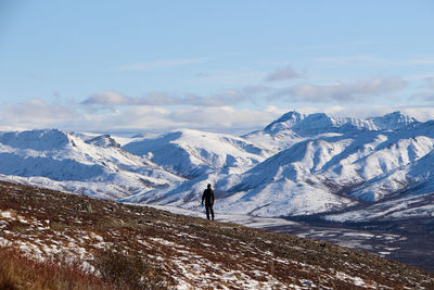 Mt denali in alaska