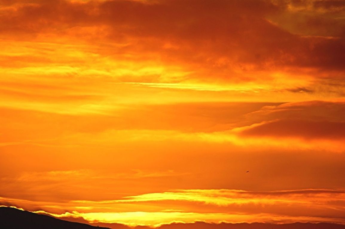 sunset, orange color, sky, scenics, beauty in nature, cloud - sky, tranquility, tranquil scene, dramatic sky, idyllic, nature, cloudscape, cloudy, cloud, majestic, low angle view, weather, atmospheric mood, silhouette, moody sky