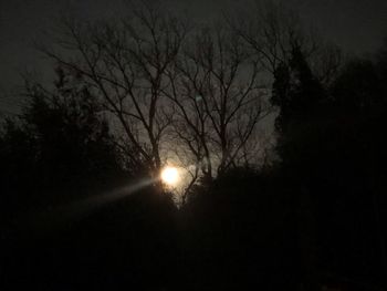 Silhouette of bare trees against sky at night