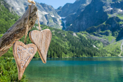 Close-up of tree by lake against mountains