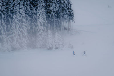 Snow covered field by trees during winter