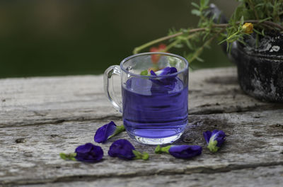 Close-up of purple flower on glass table