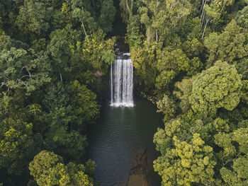 Scenic view of waterfall in forest