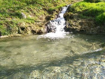 River amidst trees
