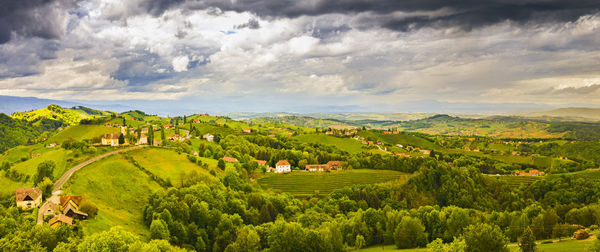 Aerial panorama of of green hills and vineyards with mountains. austria vineyards landscape.