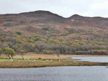 Scenic view of river by mountains against sky