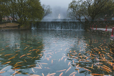 Scenic view of lake