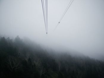 Scenic view of tree in foggy weather against sky