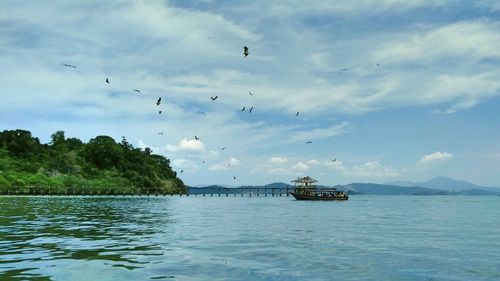 Birds flying over lake against sky