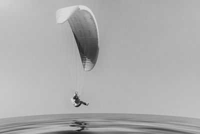 Close-up of kite in water