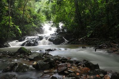 Scenic view of river flowing through rocks