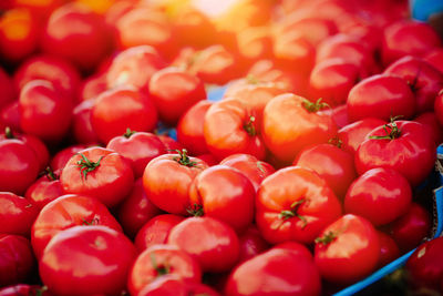 Fresh tomatoes at farmers' market
