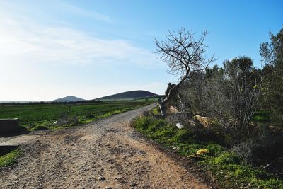 The road to the village