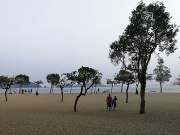 Rear view of people walking on beach