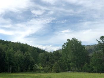 Trees on field against sky