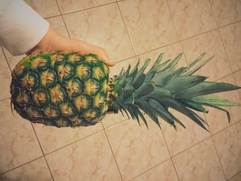 High angle view of hand holding fruit