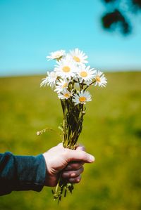 Midsection of person holding flowering plant on field