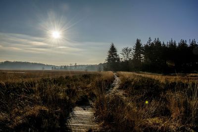 Scenic view of field against bright sun