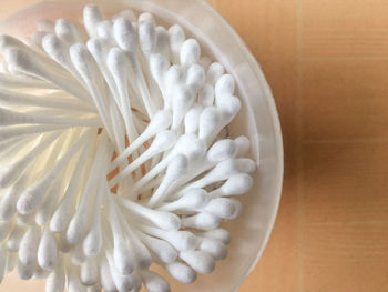 High angle view of white flower in bowl on table