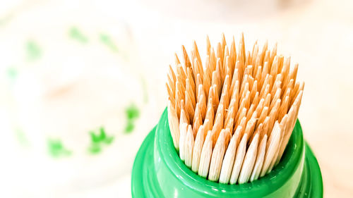 Close-up of food on table