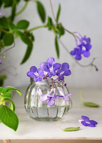 Close-up of flower vase on table