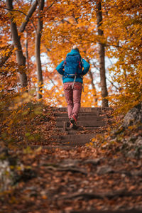 Rear view of backpack woman walking on footpath in forest during autumn