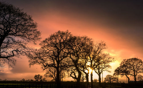 Silhouette bare tree against romantic sky at sunset