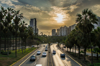 Cars on road by trees against sky during sunset