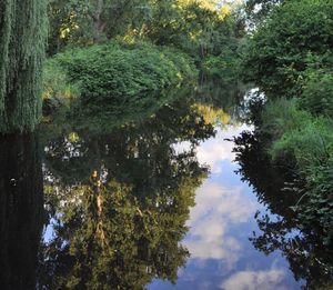 Reflection of trees in lake against sky