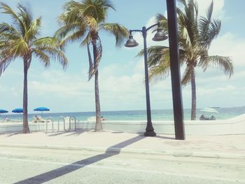 Palm trees by swimming pool at beach against sky