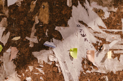 High angle view of bread on paper