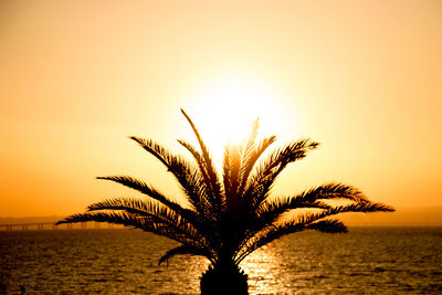 Silhouette palm tree by sea against clear sky