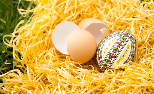 Easter eggs on nest
