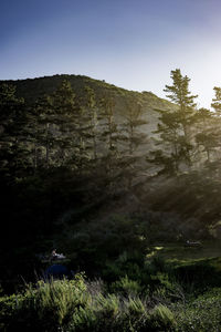 Scenic view of landscape against clear sky