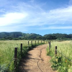 Road amidst grassy field against sky