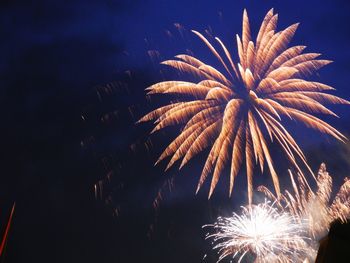 Low angle view of firework display at night